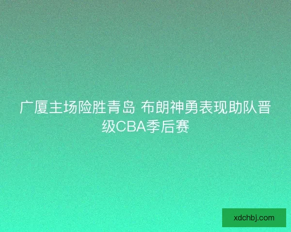广厦主场险胜青岛 布朗神勇表现助队晋级CBA季后赛